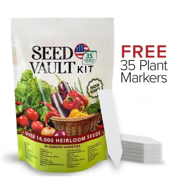 đ¸Early Spring Sale 49% OFF-Vegetable Seed Vault Kit | 35 Variety Pack