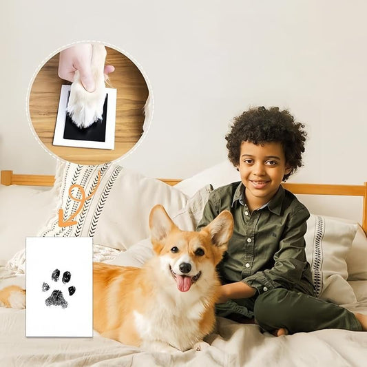🐾Pet Paw Printing Kit