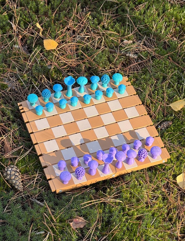 🍄Magnetic Forest Mushrooms Chess♟️