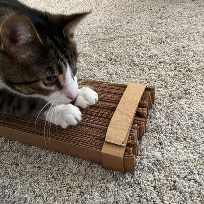 🔥LAST DAY 49% OFF🐱Card Board Cutter For Cat Scratchers