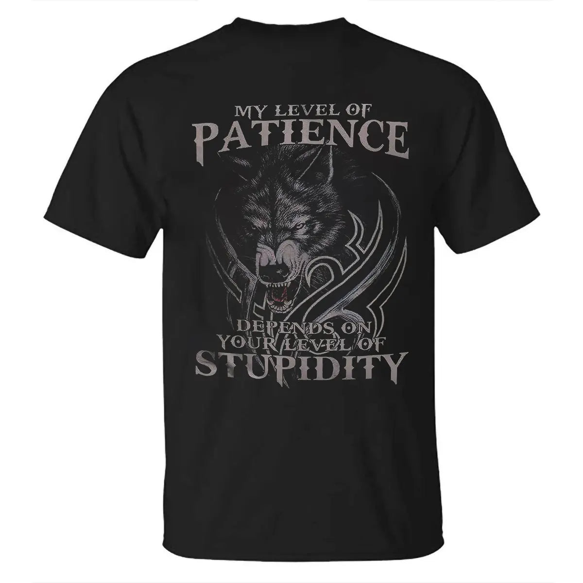 Viking My Level Of Patience Printed Men's T-shirt