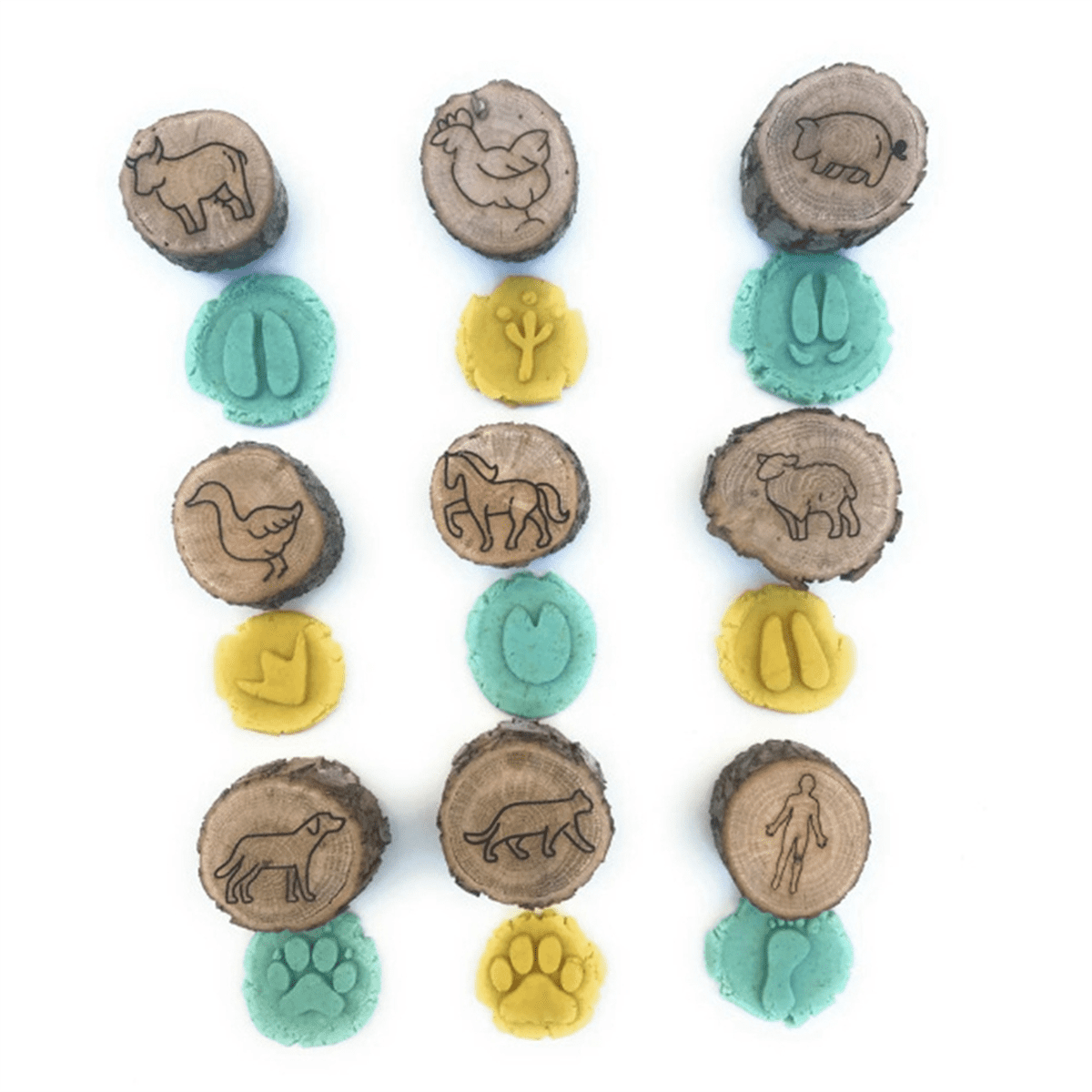 🔥Last 4 hours Sale: Save 49%-Animal Tracks Wood Stamp Set