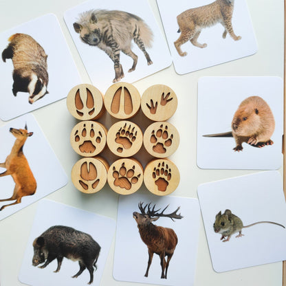🔥Last 4 hours Sale: Save 49%-Animal Tracks Wood Stamp Set
