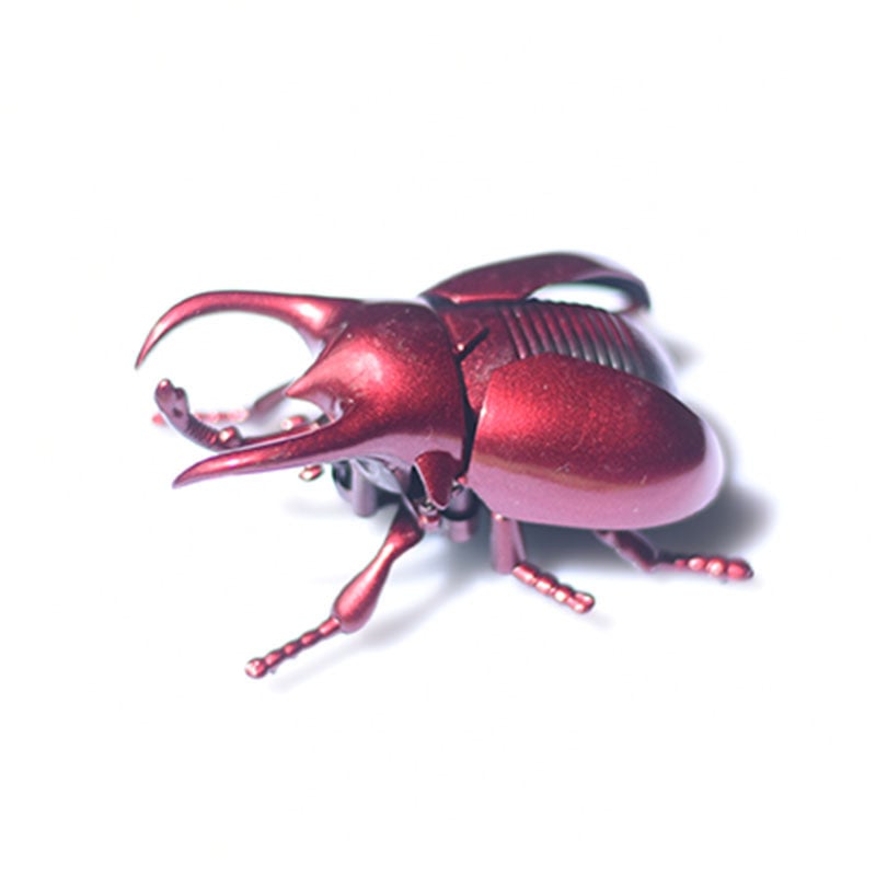 Simulation Beetle