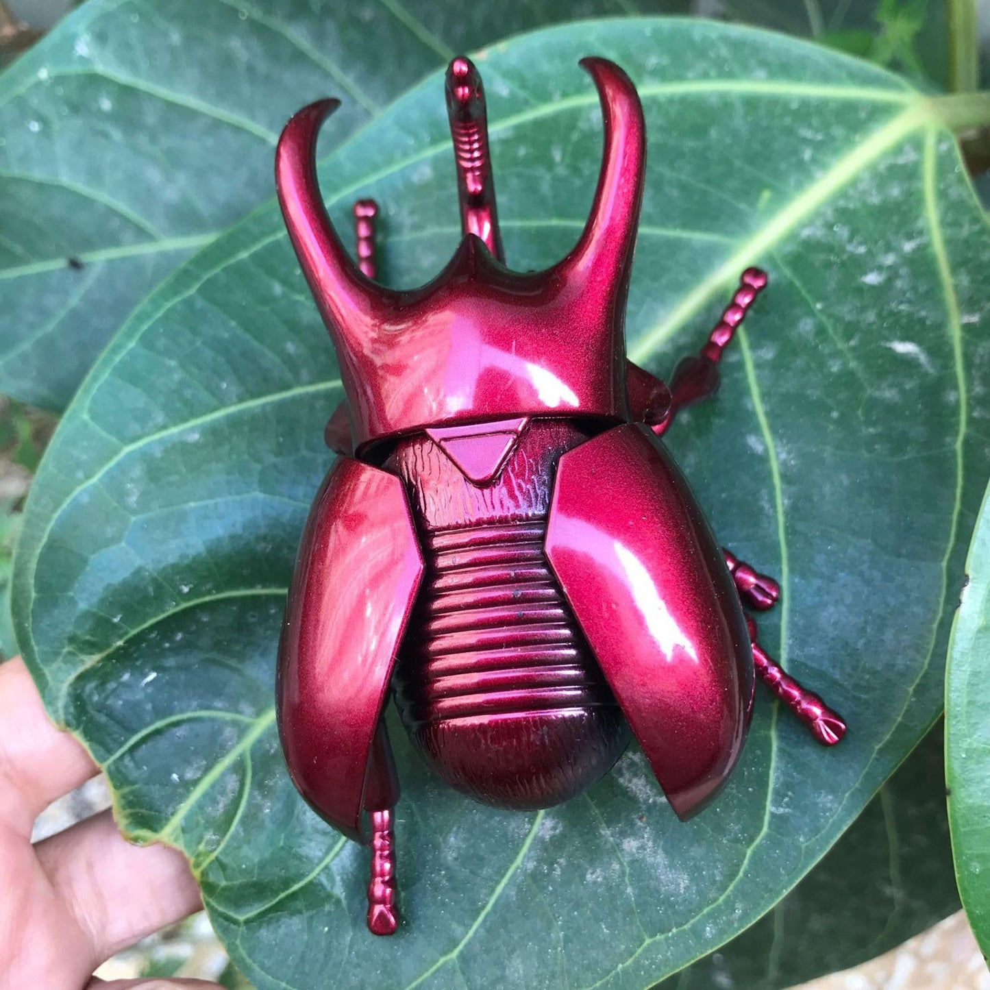 Simulation Beetle