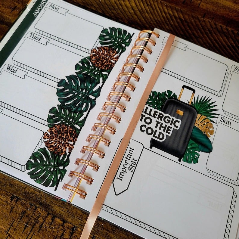 🔥Last Day 49% OFF - Organized Fucking Chaos | Funny Planner