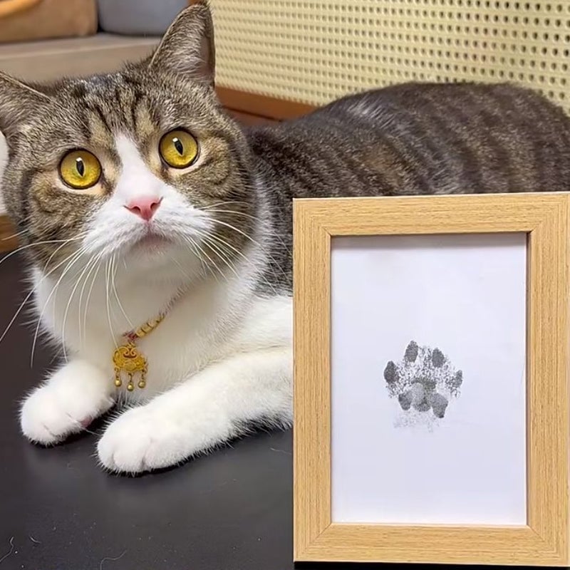 🐾Pet Paw Printing Kit