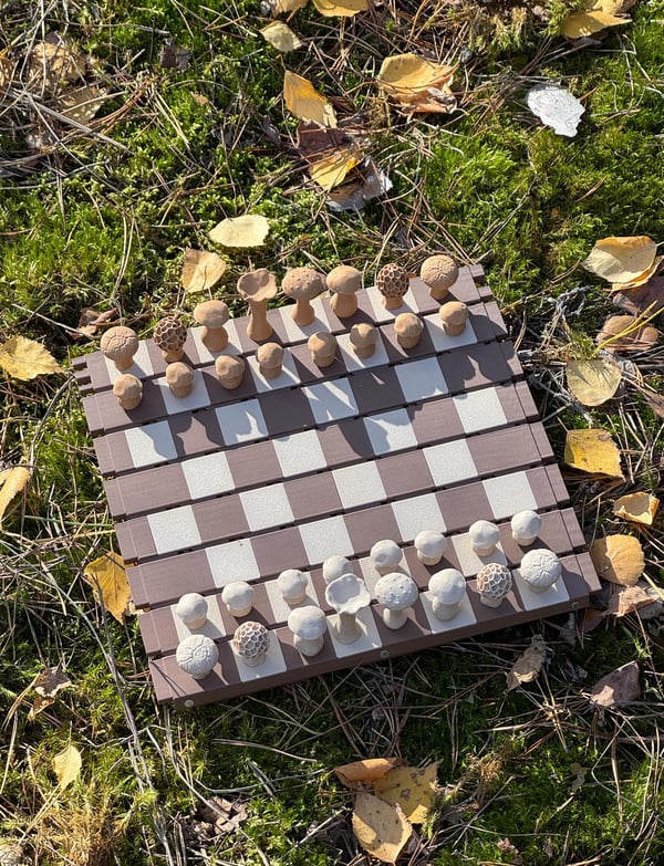 🍄Magnetic Forest Mushrooms Chess♟️