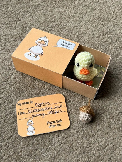 🎁No-sew Matchbox Crochet Pet Christmas Gift