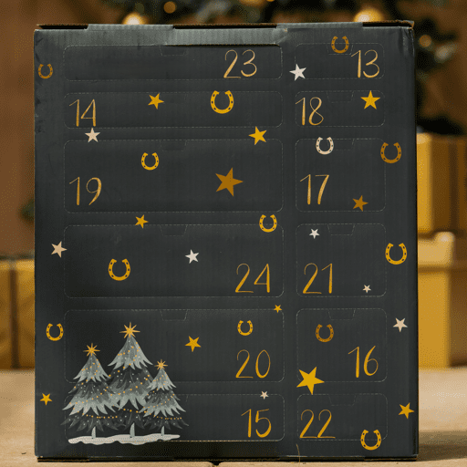 🎅Christmas Early Bird Sale 49% OFF - 🐎Equestrian Advent Calendar 2024