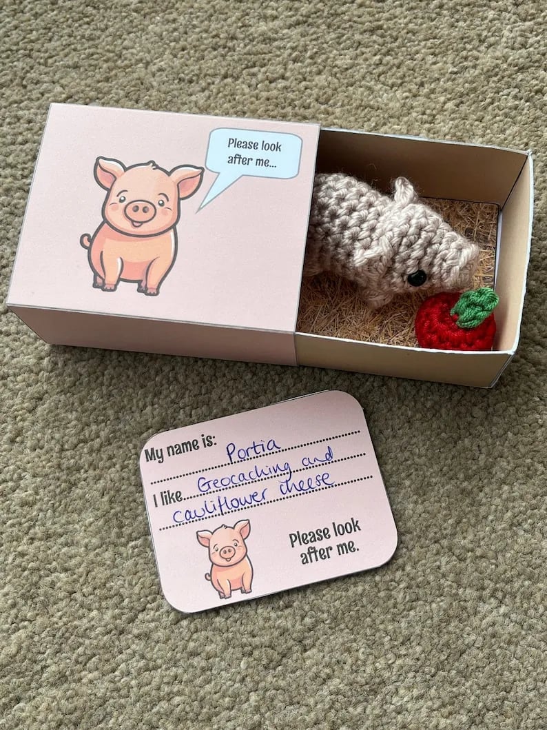 🎁No-sew Matchbox Crochet Pet Christmas Gift