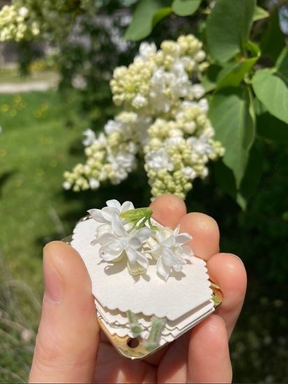 Micro Flower Press