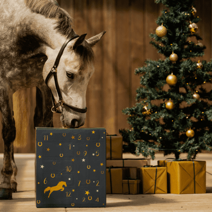 🎅Christmas Early Bird Sale 49% OFF - 🐎Equestrian Advent Calendar 2024