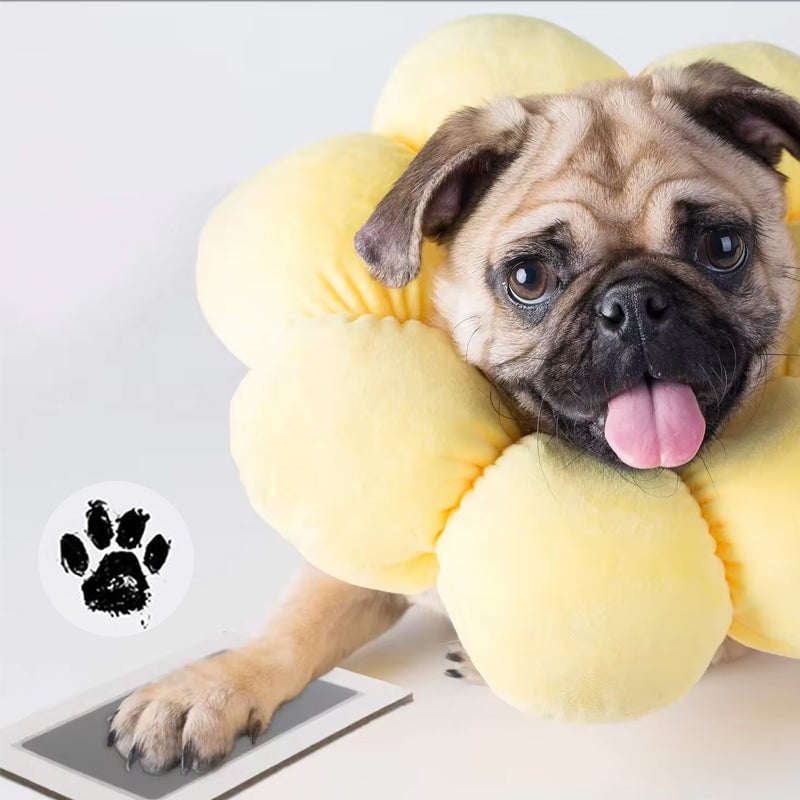 🐾Pet Paw Printing Kit