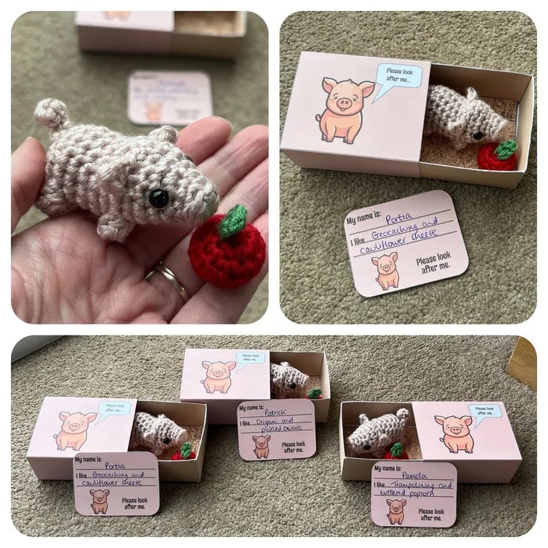 🎁No-sew Matchbox Crochet Pet Christmas Gift