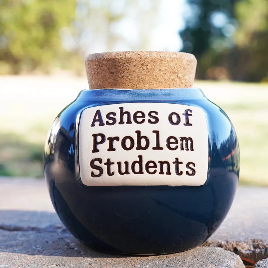 🔥LAST DAY SALE 50% OFF-🤣Ashes of Problem Clients Piggy Bank🎁