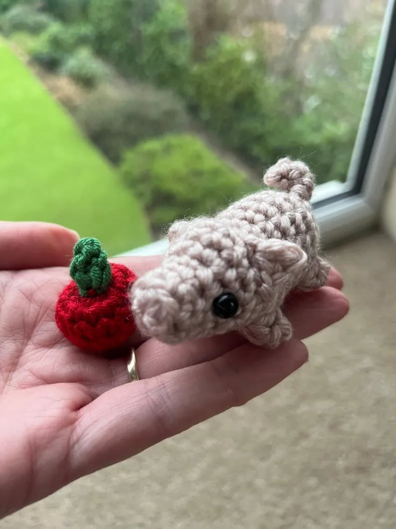 🎁No-sew Matchbox Crochet Pet Christmas Gift