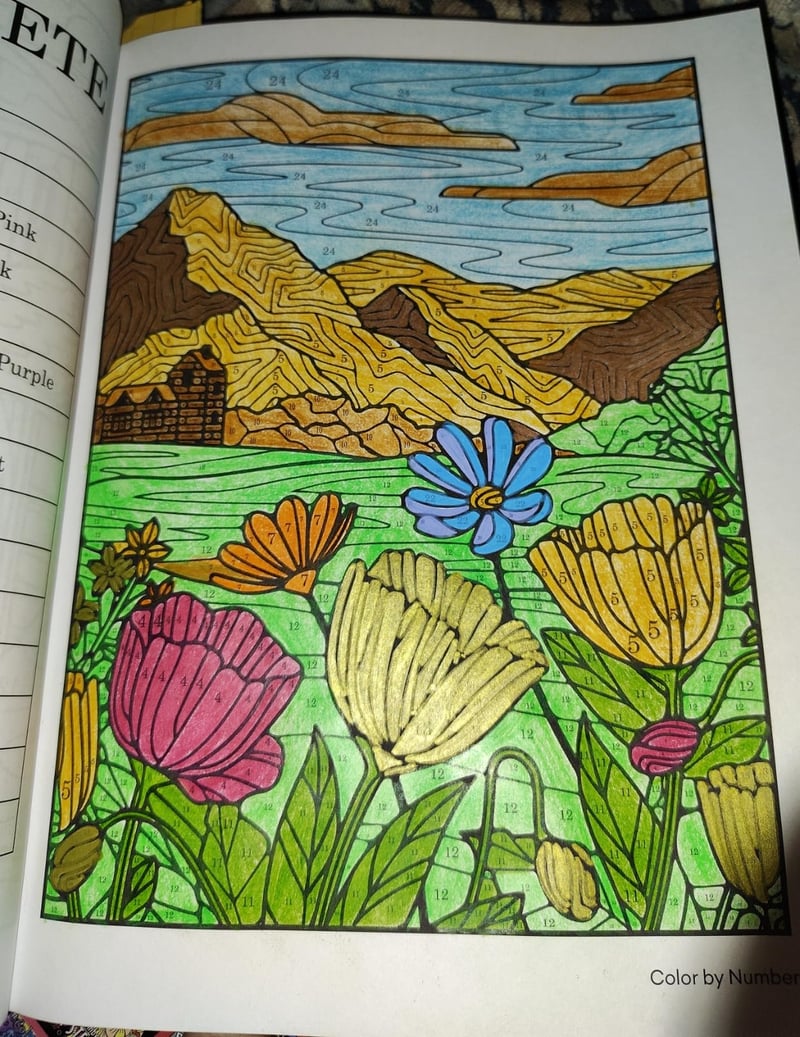 👩🏻‍🎨🎨Anxiety Therapy Coloring Book for Teens & Adults (📚HARDCOVER)