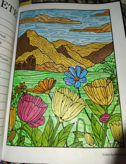 👩🏻‍🎨🎨Anxiety Therapy Coloring Book for Teens & Adults (📚HARDCOVER)