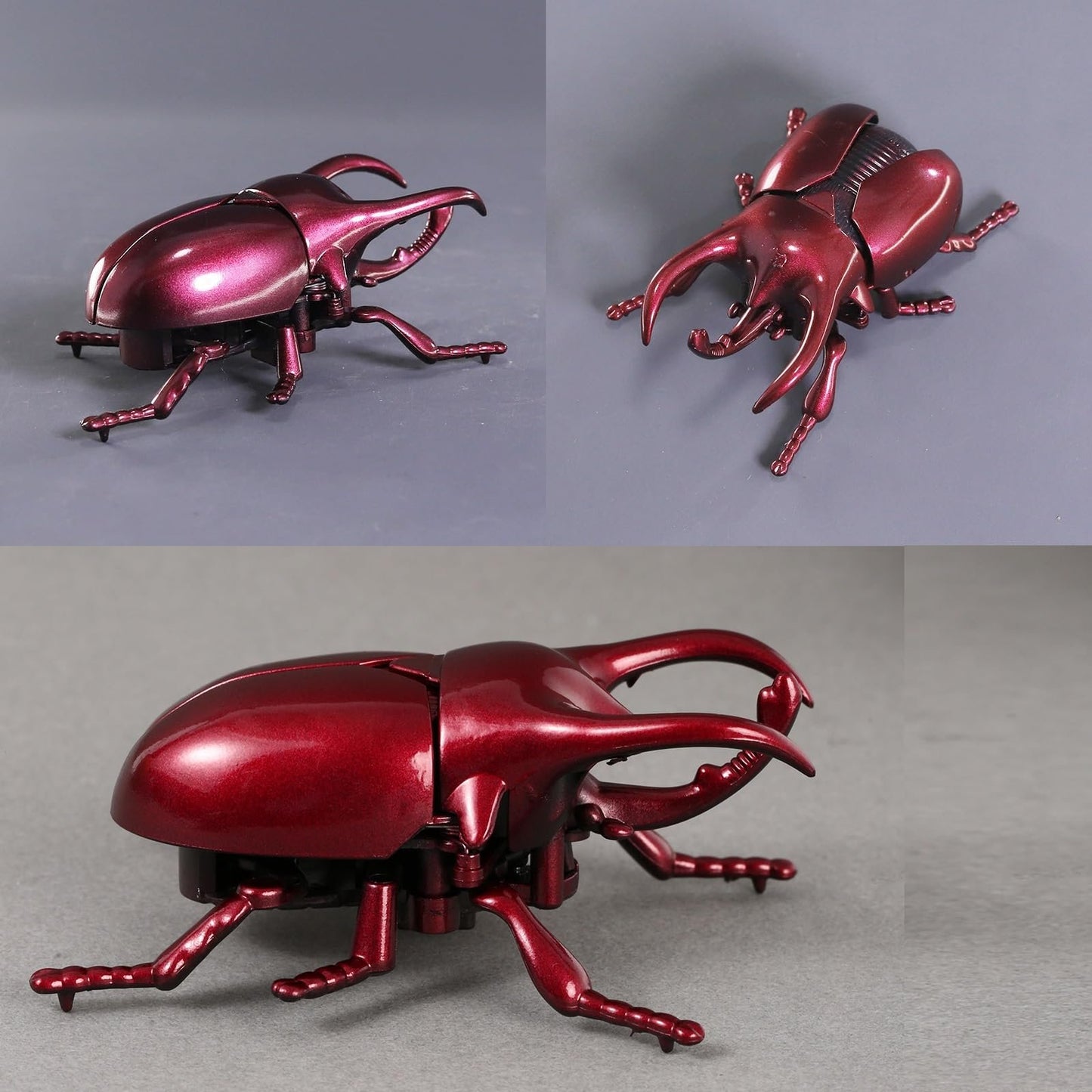 Simulation Beetle