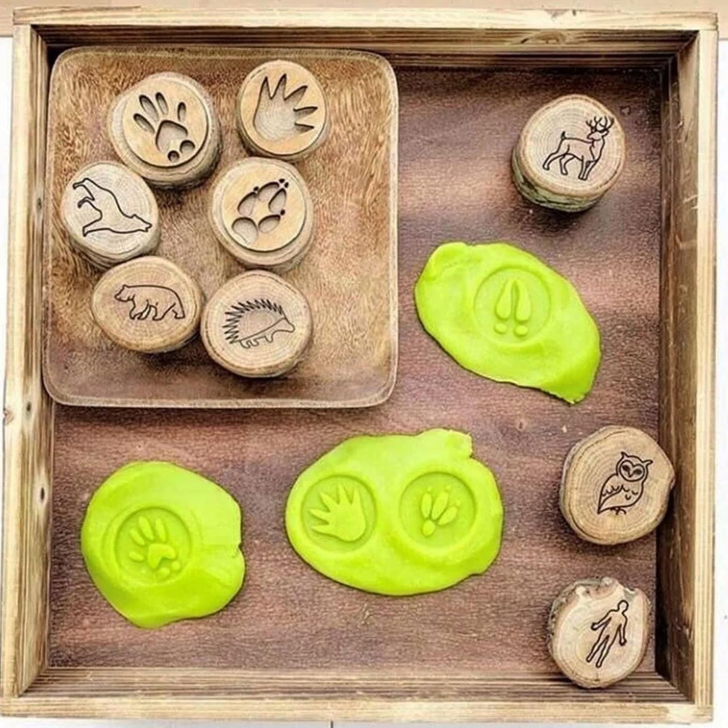 🔥Last 4 hours Sale: Save 49%-Animal Tracks Wood Stamp Set