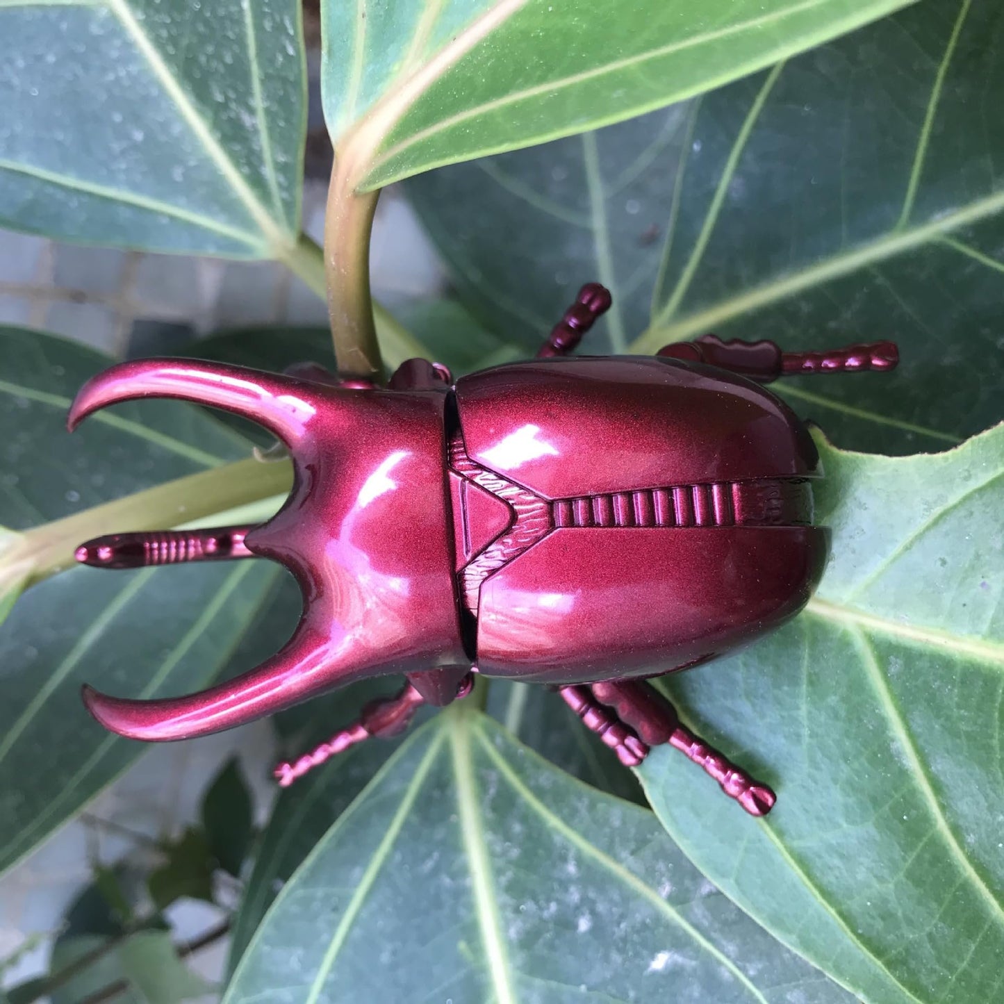 Simulation Beetle