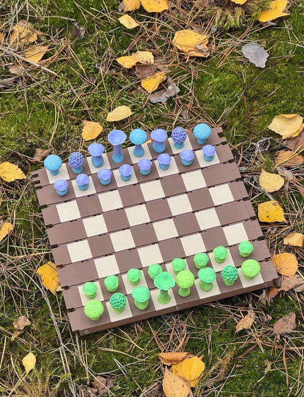 🍄Magnetic Forest Mushrooms Chess♟️